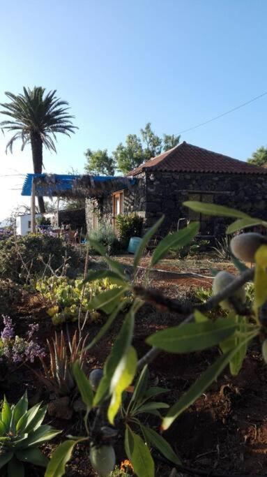 Casita En El Campo Con Vista Al Oceano Villa Tijarafe Exteriör bild