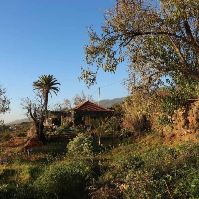 Casita En El Campo Con Vista Al Oceano Villa Tijarafe Exteriör bild