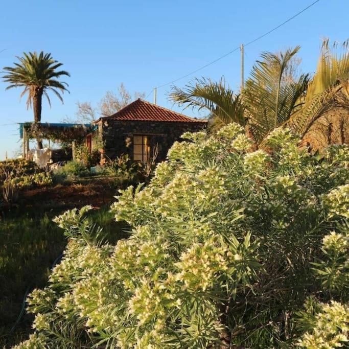 Casita En El Campo Con Vista Al Oceano Villa Tijarafe Exteriör bild
